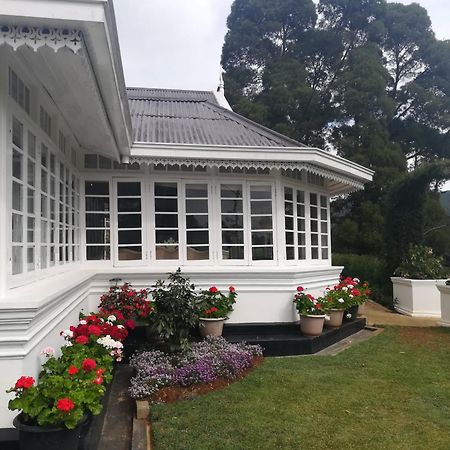 The Clovelly Bungalow نوفارا إيلِيا المظهر الخارجي الصورة