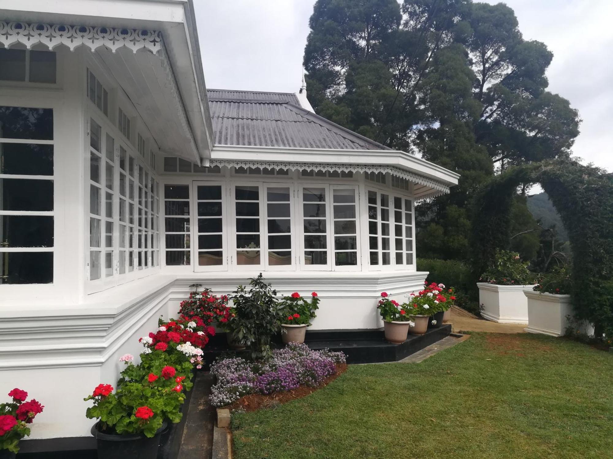 The Clovelly Bungalow نوفارا إيلِيا المظهر الخارجي الصورة