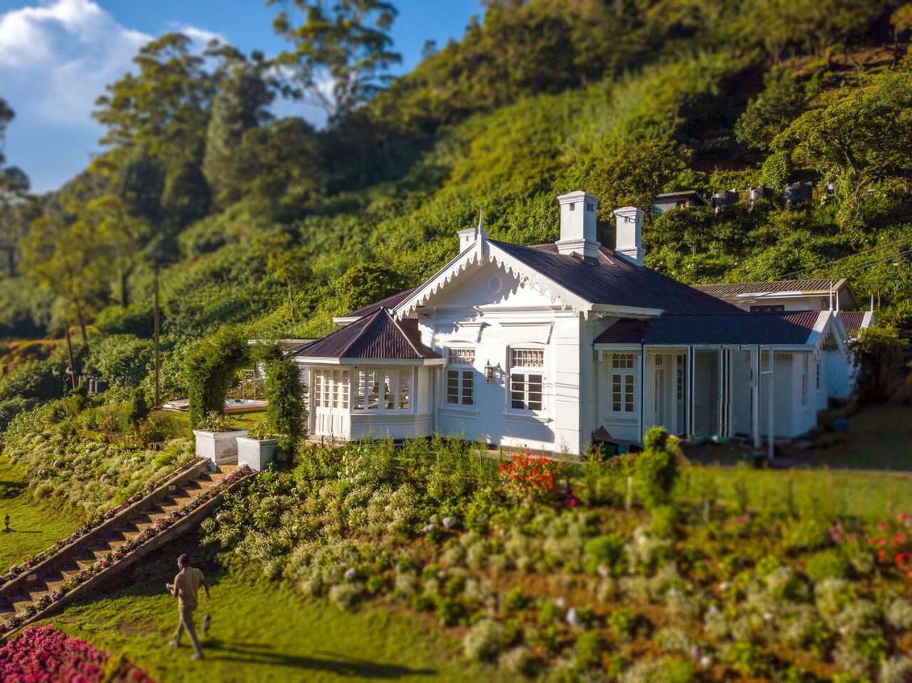 The Clovelly Bungalow نوفارا إيلِيا المظهر الخارجي الصورة