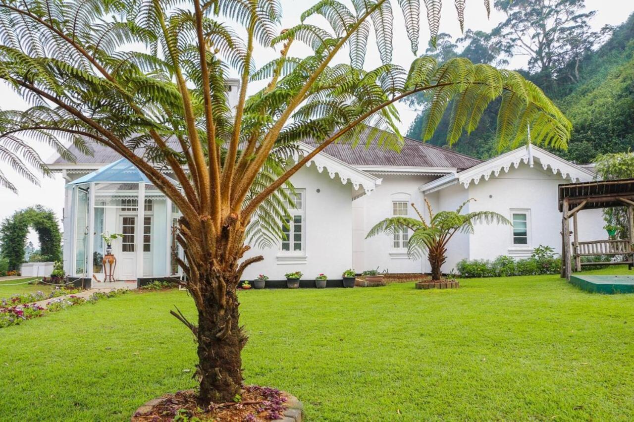 The Clovelly Bungalow نوفارا إيلِيا المظهر الخارجي الصورة